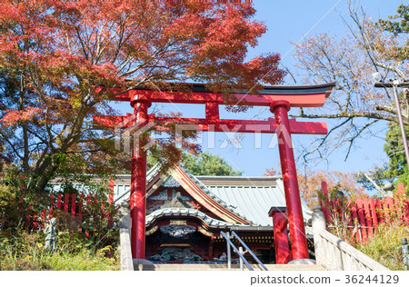 Mt. Takao, Mt. Takao Yakuouin Headquarters (Gongendo) Torii Mt. Takao, Mt. Takao Yakuouin Headquarters (Gongendo) Torii 36244129