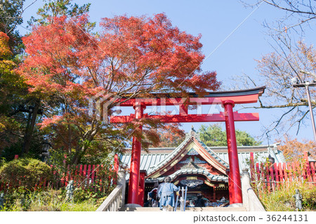 Mt. Takao, Mt. Takao Yakuouin Headquarters (Gongendo) Torii Mt. Takao, Mt. Takao Yakuouin Headquarters (Gongendo) Torii 36244131