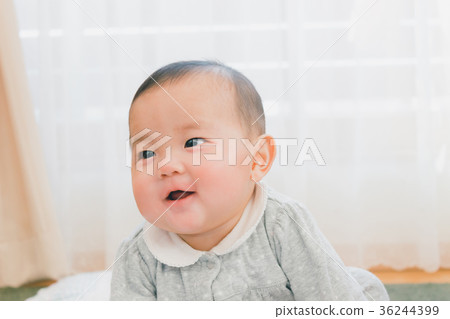 嬰兒 寶寶 寶貝 36244399