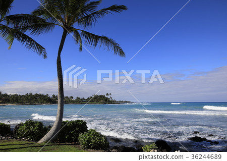 Landscape of the Gulf of Hawaii on Pouoa Landscape of the Gulf of Hawaii on Pouoa 36244689