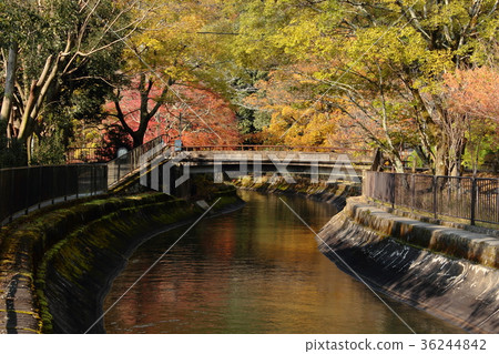 京都琵琶湖湖水瀑布風景 36244842