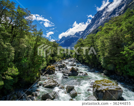 Rocky river landscape in rainforest, New Zealand Rocky river landscape in rainforest, New Zealand 36244855