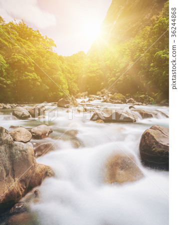 Rocky river landscape in rainforest, New Zealand Rocky river landscape in rainforest, New Zealand 36244868