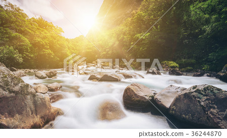 Rocky river landscape in rainforest, New Zealand Rocky river landscape in rainforest, New Zealand 36244870