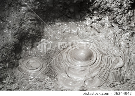 Hot Mud Pool in Rotorua, New Zealand 36244942