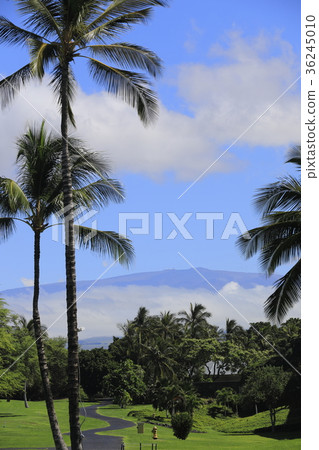 Scenery around Fairmont Orchid Hawaii Scenery around Fairmont Orchid Hawaii 36245010