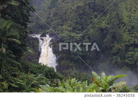 Hawaii Island Akaka Falls 36245038