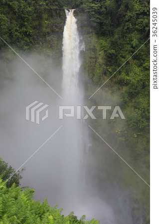 Hawaii Island Akaka Falls Hawaii Island Akaka Falls 36245039