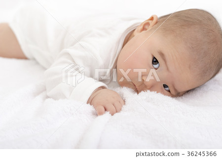 說謊在蒲團的嬰孩 說謊在蒲團的嬰孩 36245366