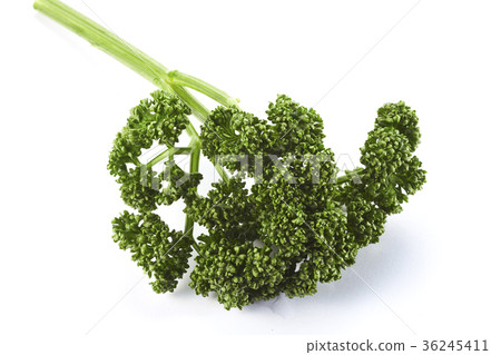 歐芹（回飛，影子iki） 36245411