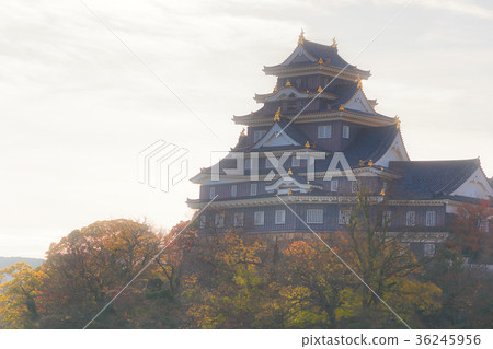岡山城 岡山城 36245956