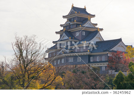 Okayama Castle Okayama Castle 36245962