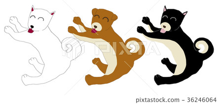 3 white dogs, brown dogs, black dogs 3 white dogs, brown dogs, black dogs 36246064