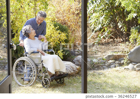 Family, old couple, husband, wife, wheelchair 36246527