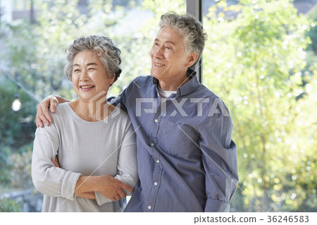 家庭,老夫妻,老人,丈夫,妻子 家庭,老夫妻,老人,丈夫,妻子 36246583