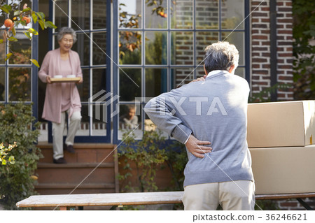 Family, old couple, husband, wife, box, waist, backache Family, old couple, husband, wife, box, waist, backache 36246621
