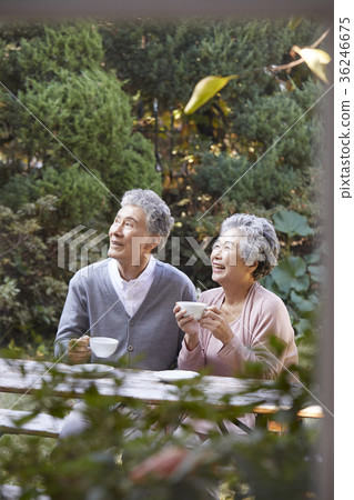 家庭,老夫妻,丈夫,妻子,花園,杯子 家庭,老夫妻,丈夫,妻子,花園,杯子 36246675