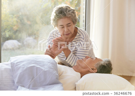 家庭,老夫妻,丈夫,妻子,護理,護理 家庭,老夫妻,丈夫,妻子,護理,護理 36246676