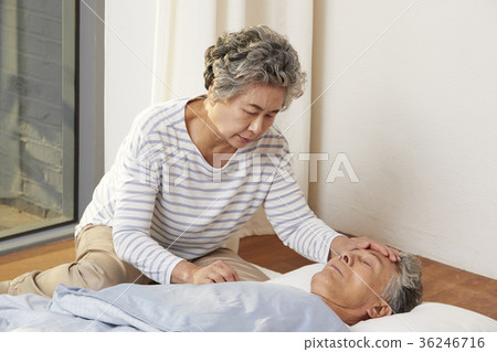 家庭,老夫妻,丈夫,妻子,護理,護理 家庭,老夫妻,丈夫,妻子,護理,護理 36246716