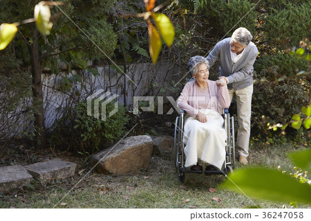 Family, old couple, husband, wife, wheelchair 36247058
