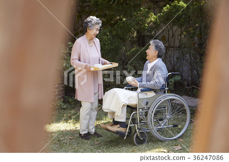 Family, old couple, husband, wife, wheelchair Family, old couple, husband, wife, wheelchair 36247086