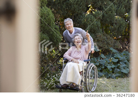 家庭，老夫妻，丈夫，妻子，輪椅 36247180