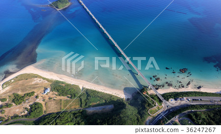 Kakushima Ohashi (Tinoshima Ohashi · Yamaguchi Prefecture Shimonoseki City) Kakushima Ohashi (Tinoshima Ohashi · Yamaguchi Prefecture Shimonoseki City) 36247267