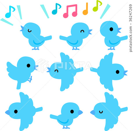 藍色鳥例證集合 36247269