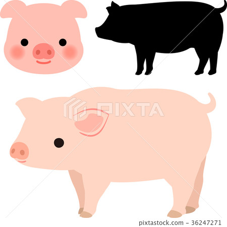 豬插圖集 36247271