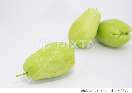 佛手瓜 佛手瓜 36247772