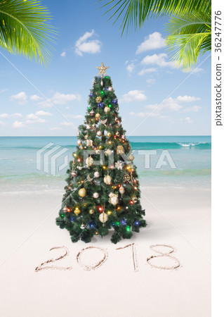 tree on beach tree on beach 36247776