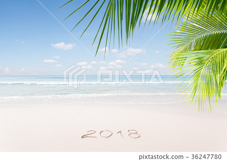 new year tropic new year tropic 36247780