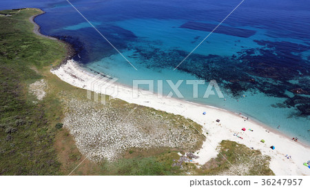 Yamaguchi-ken Tsunoshima Ohama campground Yamaguchi-ken Tsunoshima Ohama campground 36247957