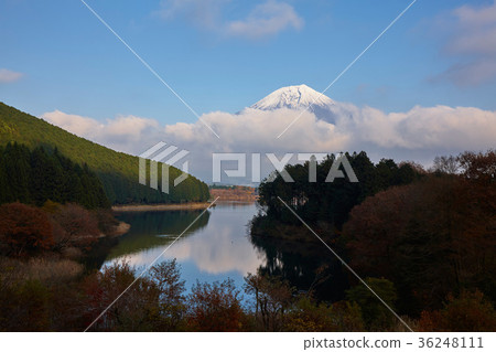 Lake Tanuki shaped Mt. Fuji Lake Tanuki shaped Mt. Fuji 36248111