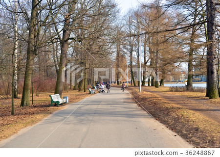 Early spring park. Early spring park. 36248867