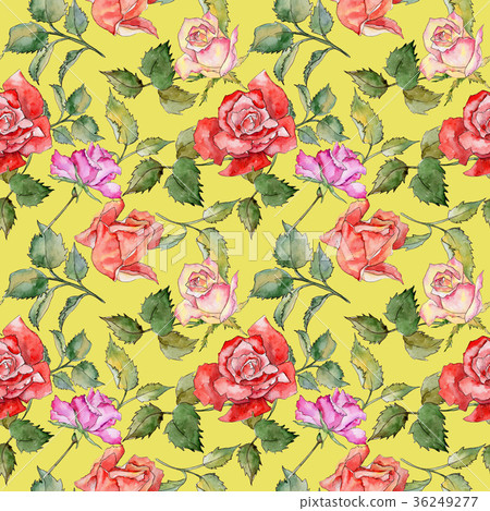 Wildflower rose flower pattern in a watercolor Wildflower rose flower pattern in a watercolor 36249277