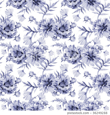 Wildflower poppy flower pattern in a watercolor 36249288