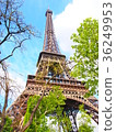 Eiffel Tower 36249953