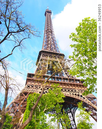 Eiffel Tower Eiffel Tower 36249953
