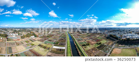 Aerial view panorama Minuma rice field We look at Higashikawaguchi direction from Miyama district 36250073