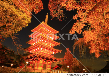 日野市Takahata Fudoson五層寶塔和彩色的葉子 36250118
