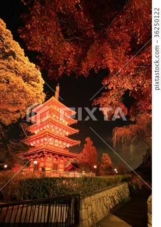 日野市Takahata Fudoson五層寶塔和彩色的葉子 36250122