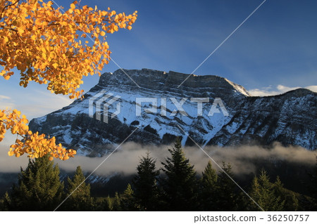 加拿大加拿大落基山脈 36250757