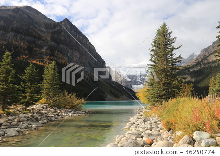 Canadian Canadian Rockies 36250774