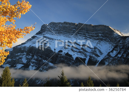 Canadian Canadian Rockies 36250784
