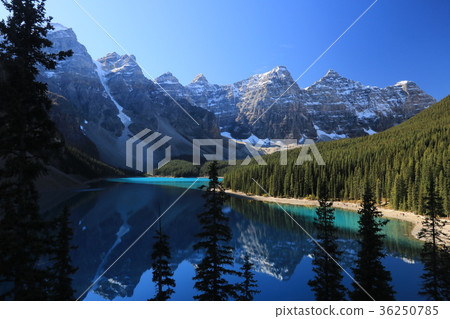 Canadian Canadian Rockies 36250785