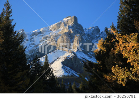 加拿大加拿大落基山脈 36250791