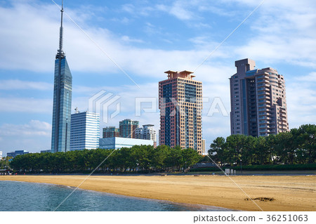 海邊百道海灘公園 海邊百道海灘公園 36251063