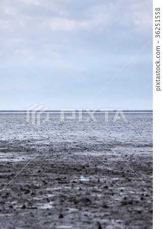 Tidal flat on the east Yoka coast Tidal flat on the east Yoka coast 36251558
