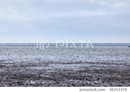 Tidal flat on the east Yoka coast Tidal flat on the east Yoka coast 36251559